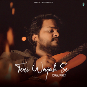 Teri Wajah Se