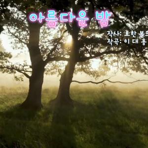 아름다운 밤