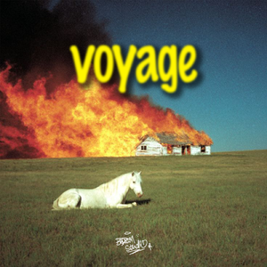 Voyage