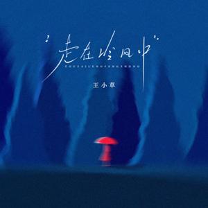 走在冷风中