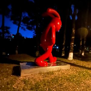 再见虎溪(双星分离)