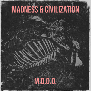 Madness & Civilization