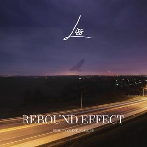 Rebound Effect