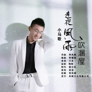 连夜风雨吹漏屋