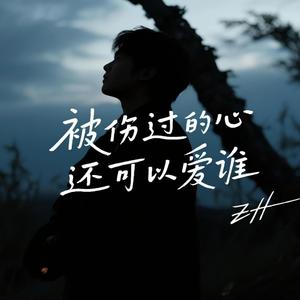 被伤过的心还可以爱谁
