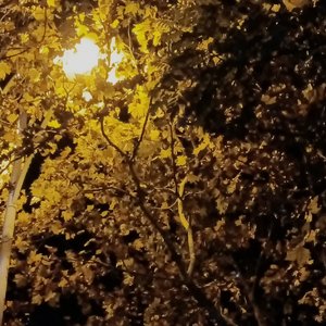 我会在每个有意义的时辰