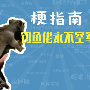 钓鱼佬永不空军是什么梗【梗指南】