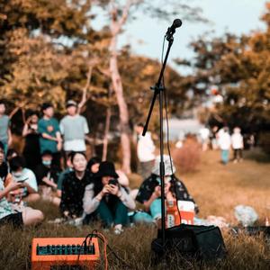 深圳湾茶话会(live)