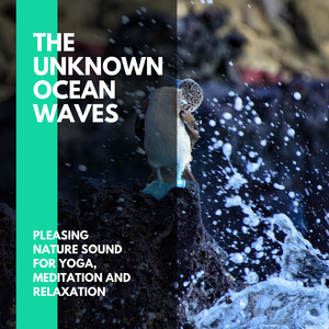 Soothing Ocean state