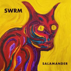 Salamander