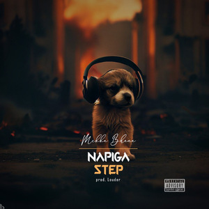 Napiga Step