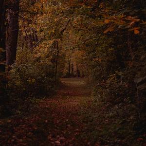 行人（prad.Ayi$sayR)