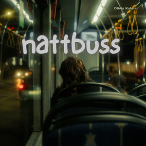 NattBuss