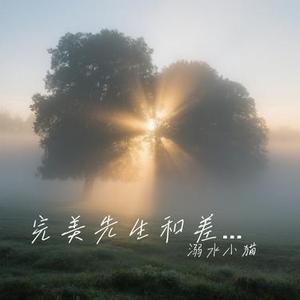 完美先生和差不多小姐 (Cover 花粥)