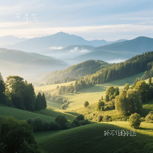 抓不住的永远