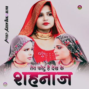 तेरा फोटु है देख के शहनाज