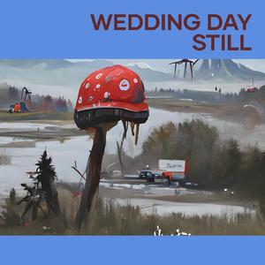 Wedding Day Still