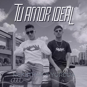 Tu Amor Ideal