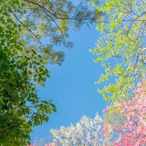 《盲盒里的梦幻不落幕之境》