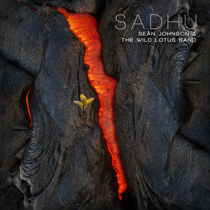 Sadhu (Om Namah Shivaya)