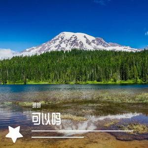 他爱的梦 (Remix)