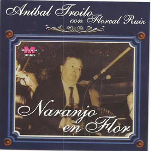 Mientras gime el bandoneon