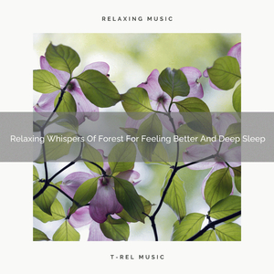 Noises Of Gaia For Chill And Noise Therapy