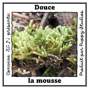 Douce la mousse