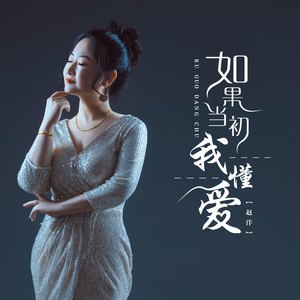 如果当初我懂爱 (伴奏)