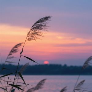 归人未归肠断处