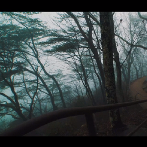 我想在你的脉搏中跳舞-君の脈で踊りたかった（翻自 初音ミク）