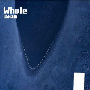 whale