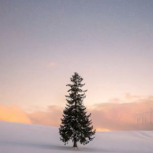 逐梦之旅的繁星指引