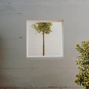 阿里郎 (传统老歌流行钢琴)