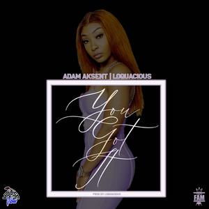 You Got It (feat. Adam Aksent)