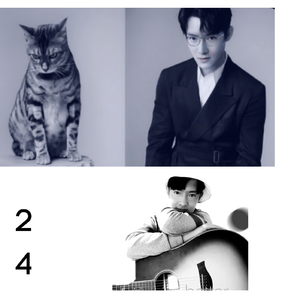 你是我最愚蠢的一次浪漫