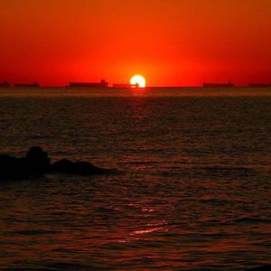 六便士到底多重(若月亮还没来)