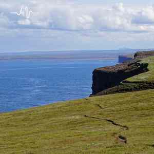 风行采耳 (解压舒缓扬琴)