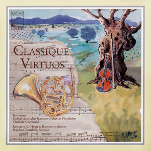 Horn Concerto in D Major, Hob. VIId:4: I. Allegro moderato