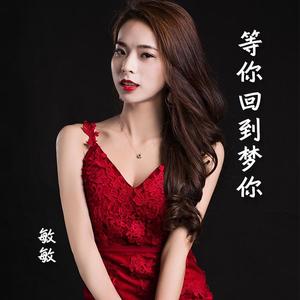 等你回到梦你