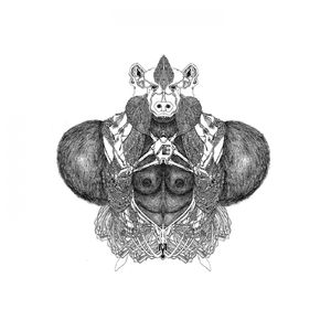 Stellar Cult (Version Xylo)