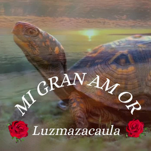 MI GRAN AMOR