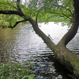 黄义达-那女孩对我说_(new)（了无生趣 remix）