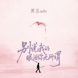 别说我的眼泪你无所谓（DJWH版）