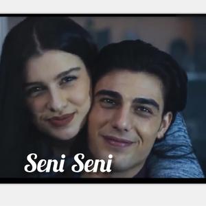 Seni Seni