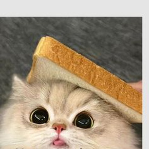 Friesenjung (sped up)