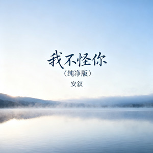 我不怪你（纯净版）