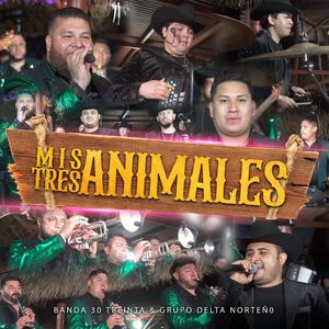 Mis Tres Animales (En Vivo)