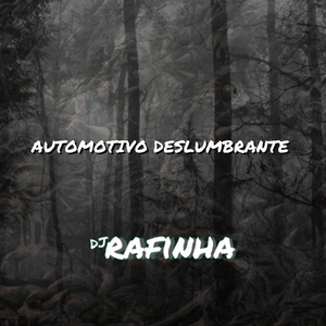 AUTOMOTIVO DESLUMBRANTE