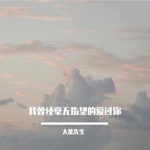 我曾经毫无指望的爱过你